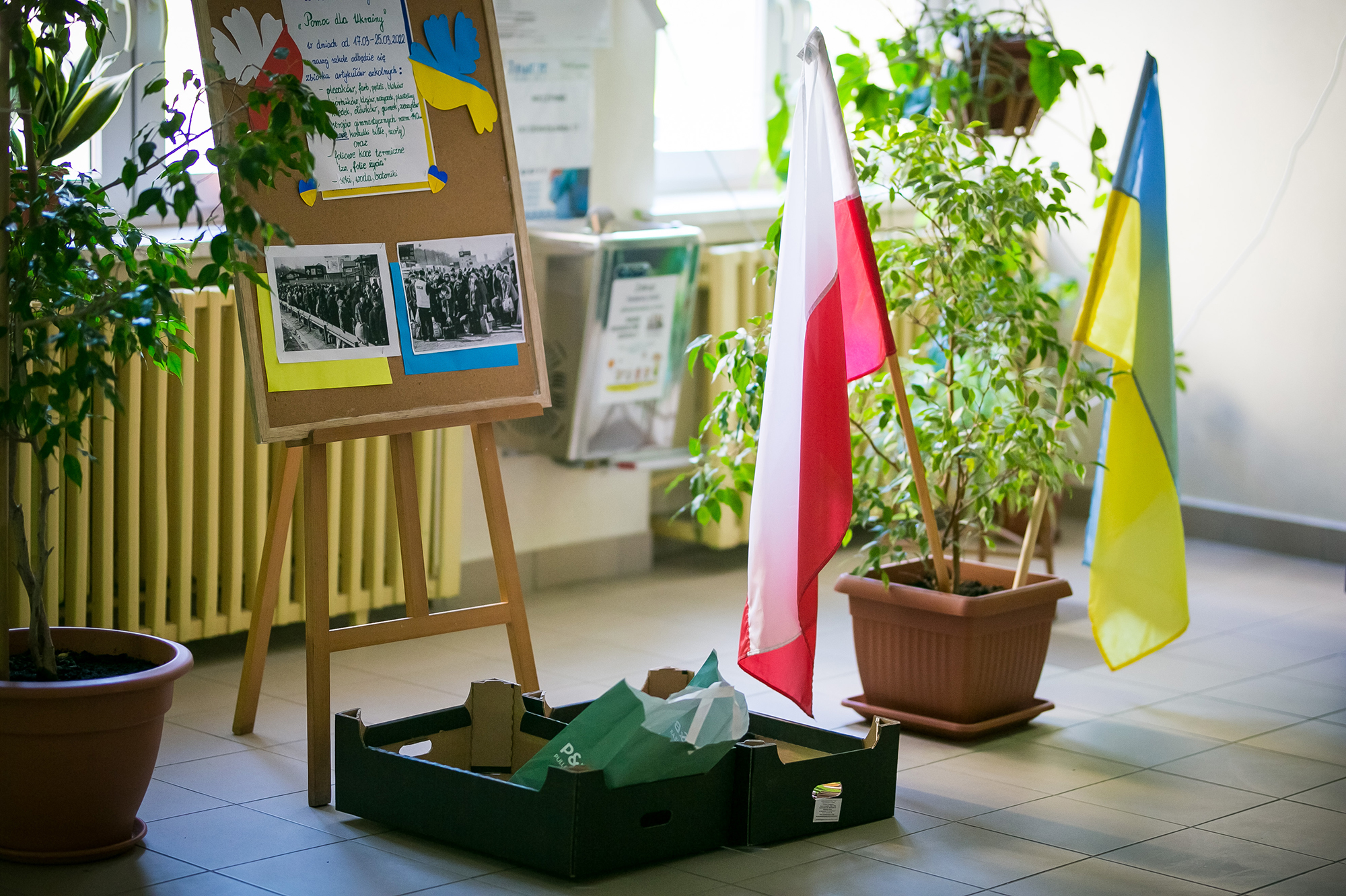 Будут ли штрафовать беженцев, чьи дети не ходят в школу в Польше